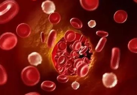 【兆恒機(jī)械】不得不了解的“檢驗(yàn)科醫(yī)療設(shè)備”！